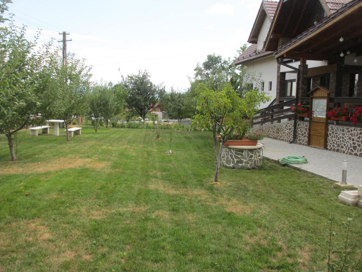 Отель Nut House Retezat Nucsoara  Экстерьер фото