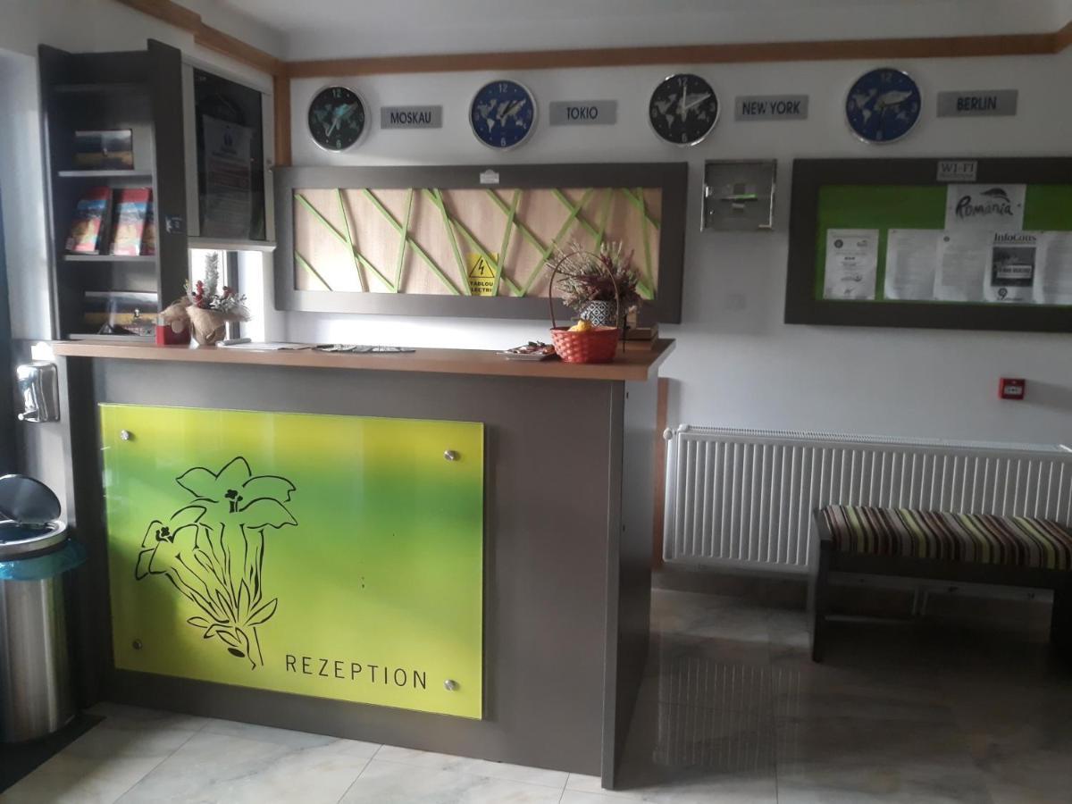 Отель Nut House Retezat Nucsoara  Экстерьер фото